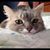 Molly Mathews's profile image