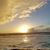 Shon Barb Carter's profile image