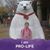 Anna C. Phillips's profile image
