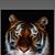 Donna Baillio's profile image