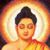 Sandra Shaw's profile image