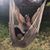 Jennifer Horne's profile image