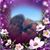 Tish Graziano's profile image