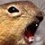 Mark Mezydlo's profile image