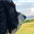 Michael W. Halker's profile image