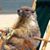 Karen Deenie Truax's profile image