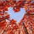 Susie Christine Jacobs's profile image