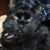 Charlotte M Laizure's profile image