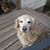 Joanne Crane's profile image