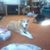Bonnie M. Irwin's profile image