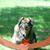Wayne Kathy Kamka's profile image