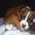 Spencer Danielle Lemay's profile image