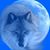 Cecilia Mearns's profile image