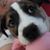 Angelique Zink's profile image