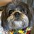 Barb Husaby's profile image
