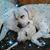 Cathy Montgomery's profile image