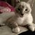 Kristin DeLong Palmer's profile image