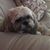 Evelyn Voinovich's profile image