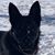 Lewie Chandler's profile image