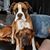 Jeremy Linsen-Perez's profile image