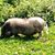 Connie Kling Kisner's profile image