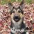 Karen Childress's profile image