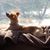 Kathie Kroczynski Ignacz's profile image