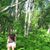 Audrey Maines's profile image