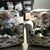 Juli Montgomery Knecht's profile image