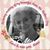 Ronda Garlic Lickey's profile image