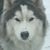 Jennifer Moore's profile image
