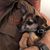 Bruce D. Sidlinger's profile image