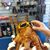 Sharkey Brehm's profile image