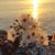 Tasneem Alshargabi's profile image