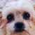 Anita Fay's profile image