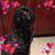 Sydney Hoffman's profile image
