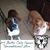 Terri Jester's profile image