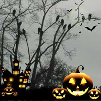 LouAnn Passante's profile image