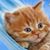 Gladys M Pankey's profile image
