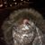 Leisa Bilyeu's profile image