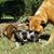 Mindy Hall Bradshaw's profile image