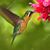 Ashleigh Vitt's profile image