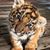 Lee McAlister's profile image