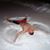 Dan Embretson's profile image