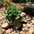 Lorrie Katsimpalis's profile image