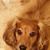 Sharon A Bratcher Little's profile image