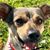 Saundra Smith's profile image