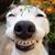 Sue Kullen's profile image