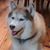 Michelle Sanborn's profile image