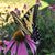 Wanda Colyer's profile image
